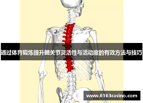 通过体育锻炼提升髋关节灵活性与活动度的有效方法与技巧