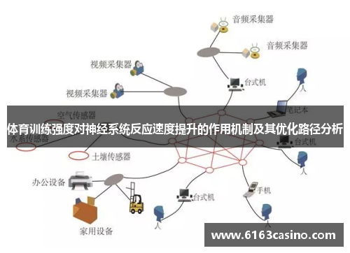 体育训练强度对神经系统反应速度提升的作用机制及其优化路径分析