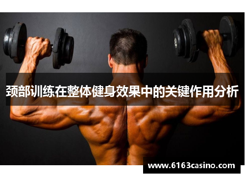 颈部训练在整体健身效果中的关键作用分析